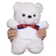 iShop Teddy Bear