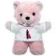 iShop Teddy Bear